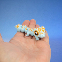 Koa the Tokay Gecko