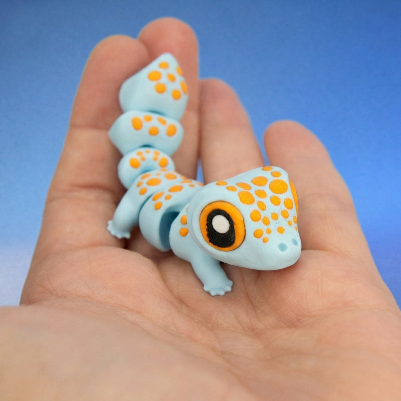 Koa the Tokay Gecko