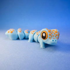 Koa the Tokay Gecko