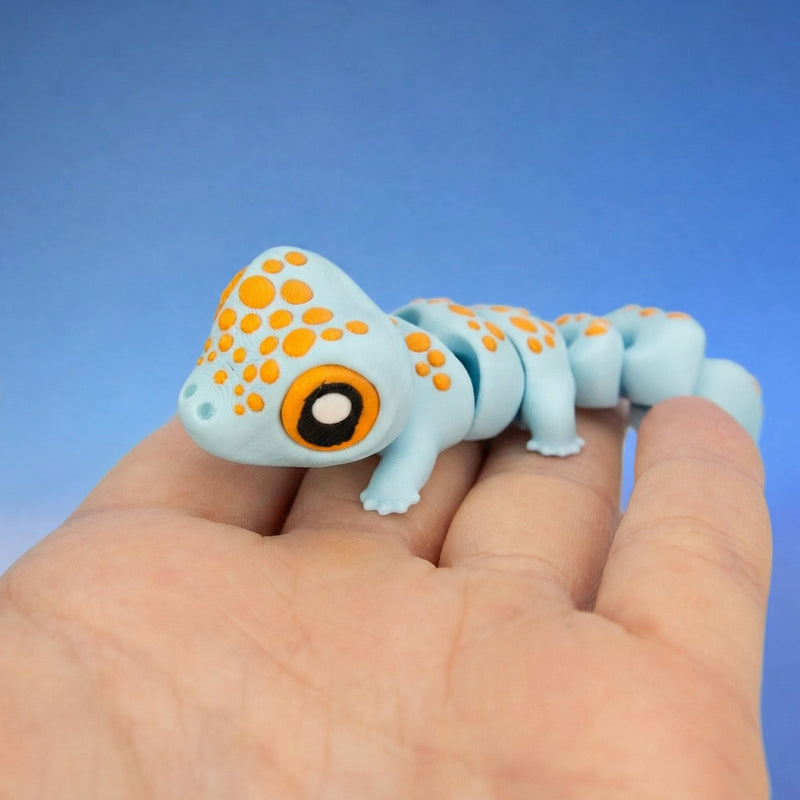 Koa the Tokay Gecko