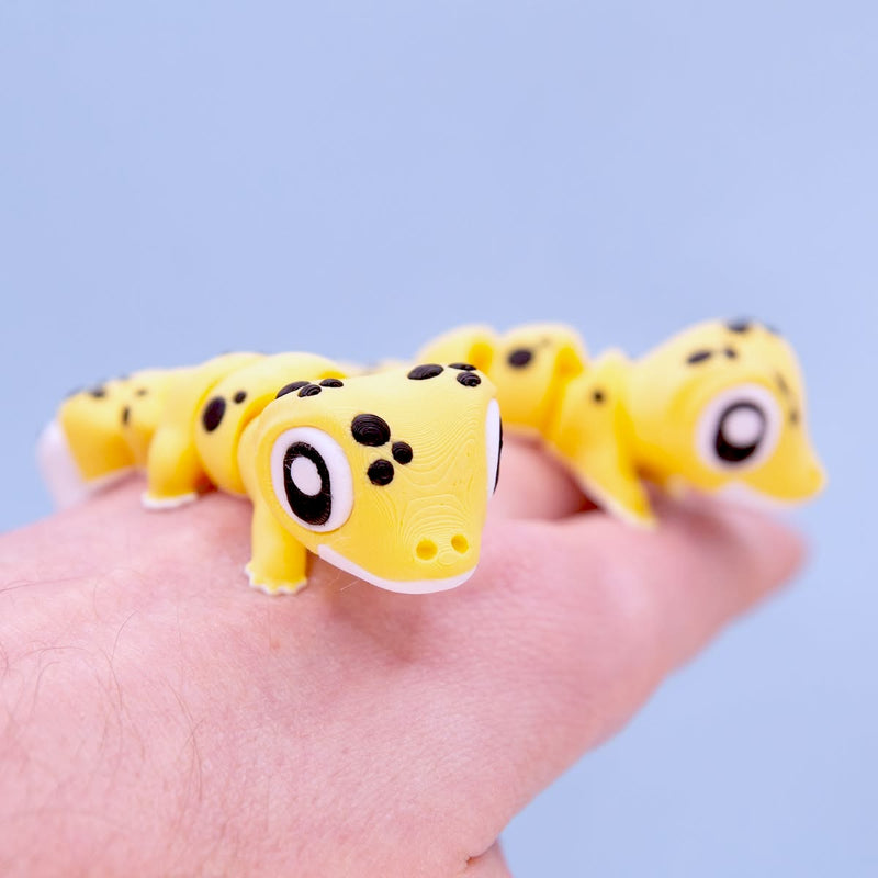 Leo the Leopard Gecko