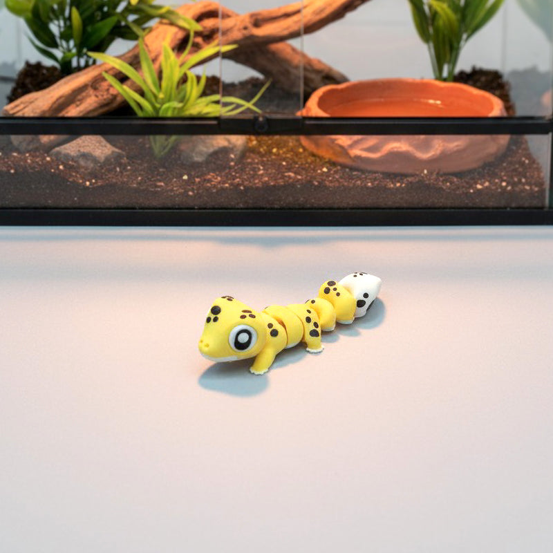 Leo the Leopard Gecko