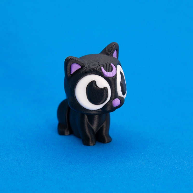 Luna the Moon Cat