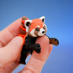 Momo the Red Panda