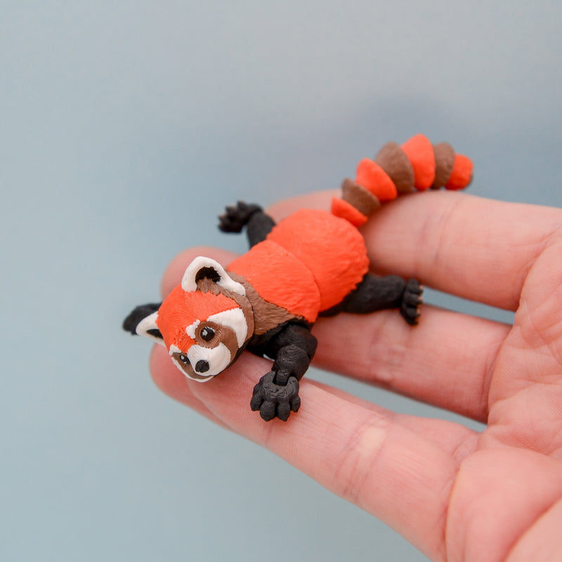 Momo the Red Panda