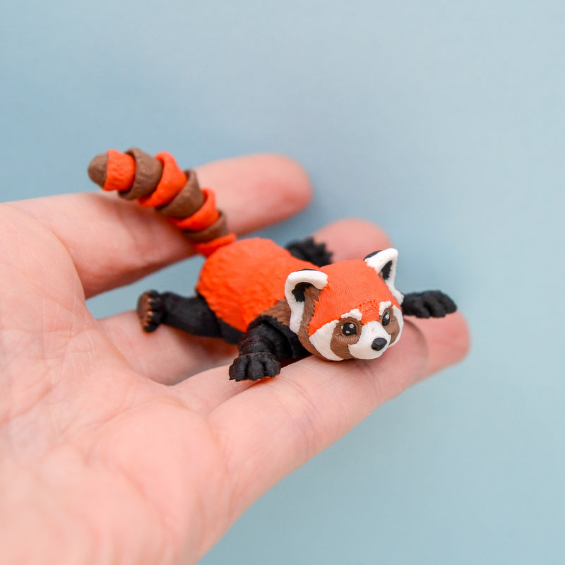 Momo the Red Panda