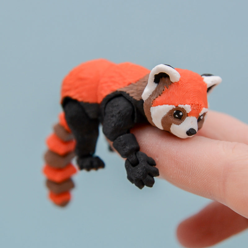 Momo the Red Panda