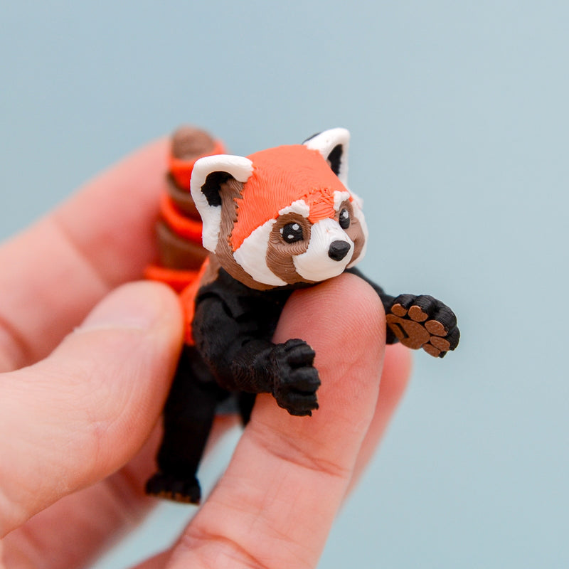 Momo the Red Panda