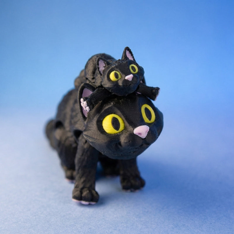 Moonlight the Black Cat