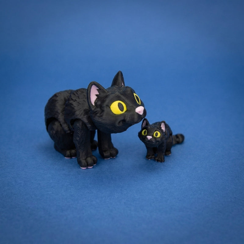 Moonlight the Black Cat