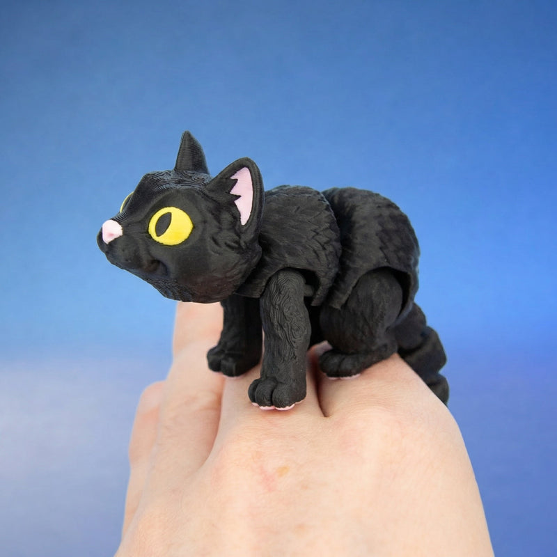 Moonlight the Black Cat