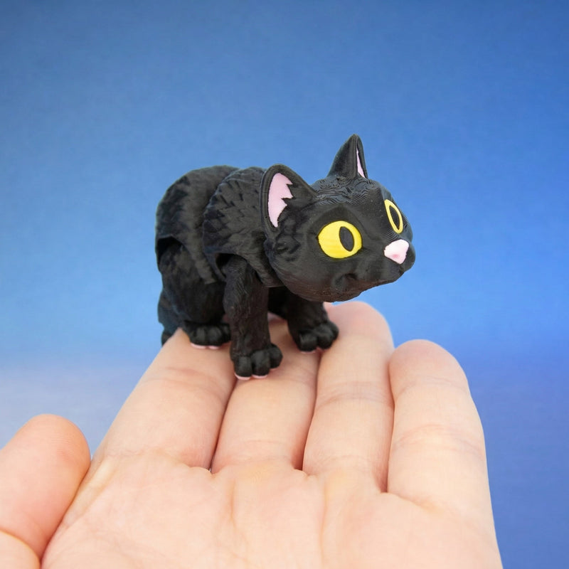 Moonlight the Black Cat