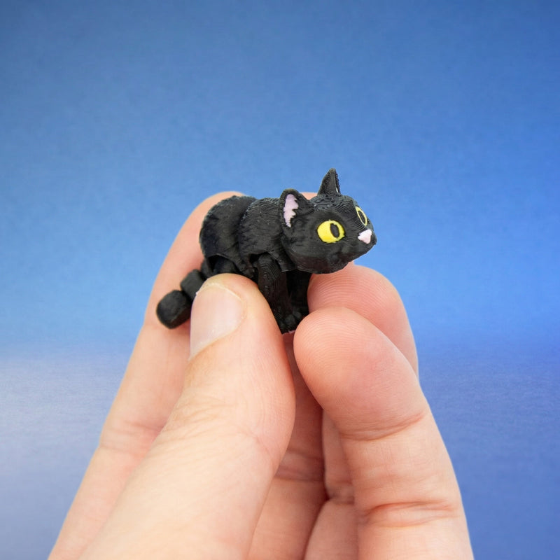 Moonlight the Black Cat