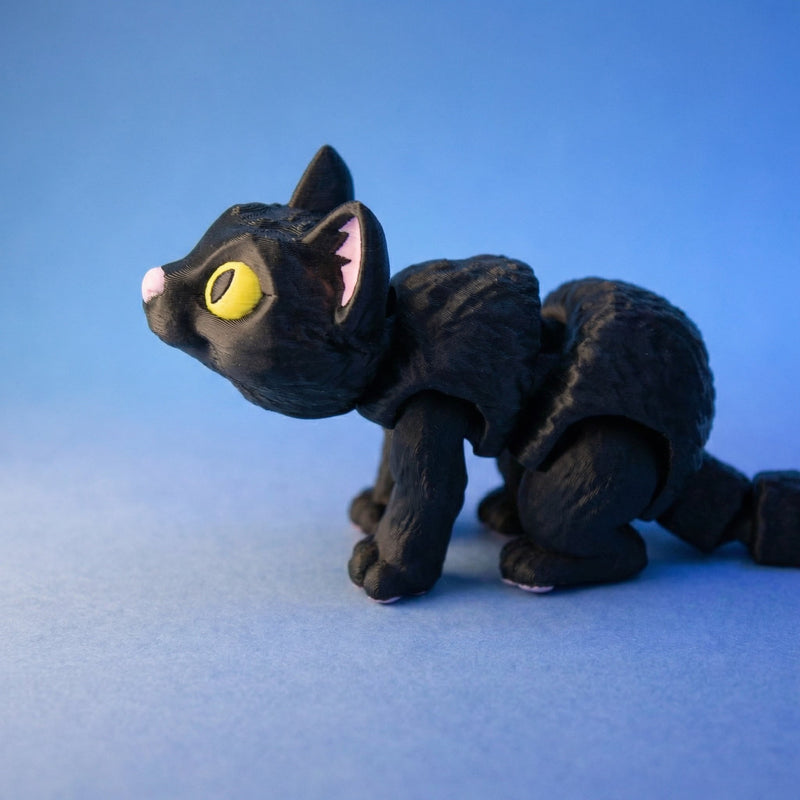 Moonlight the Black Cat