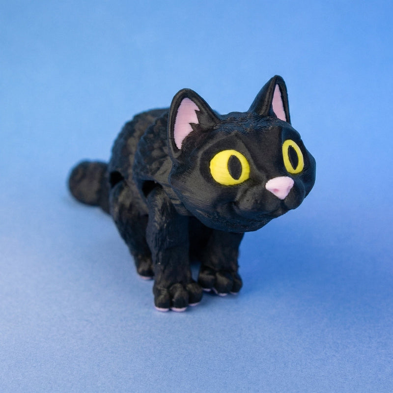 Moonlight the Black Cat