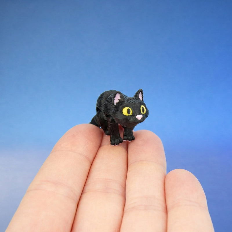 Moonlight the Black Cat