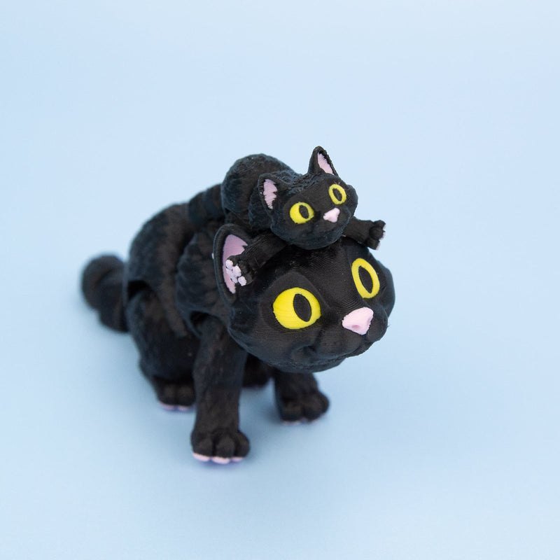 Moonlight the Black Cat