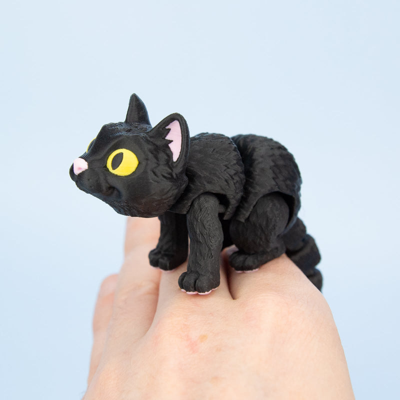 Moonlight the Black Cat