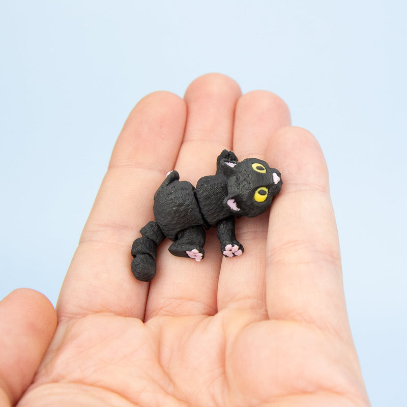 Moonlight the Black Cat