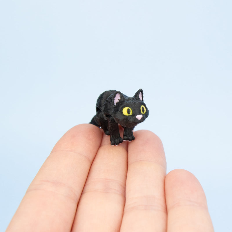 Moonlight the Black Cat