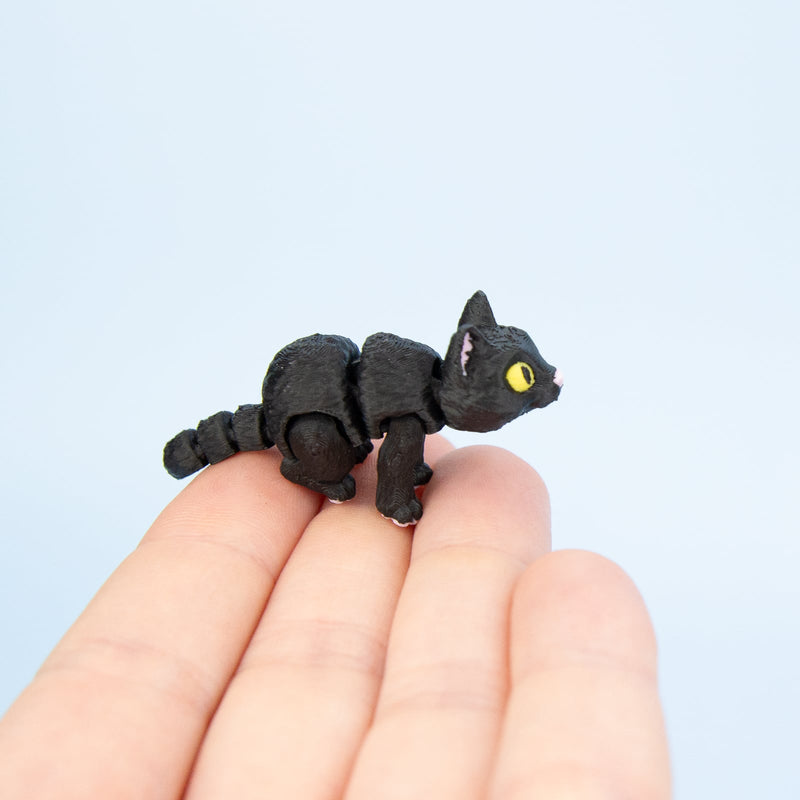 Moonlight the Black Cat