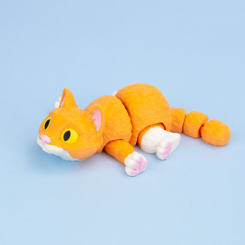 Mush the Orange Cat