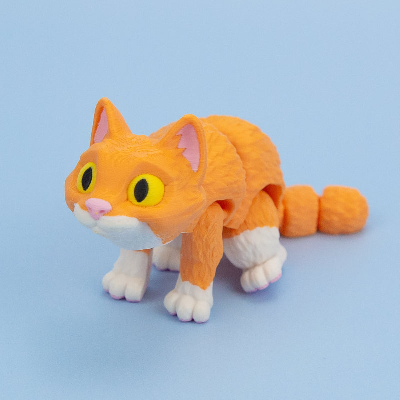 Mush the Orange Cat