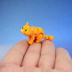 Mush the Orange Cat