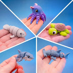 Ocean Explorer Bundle