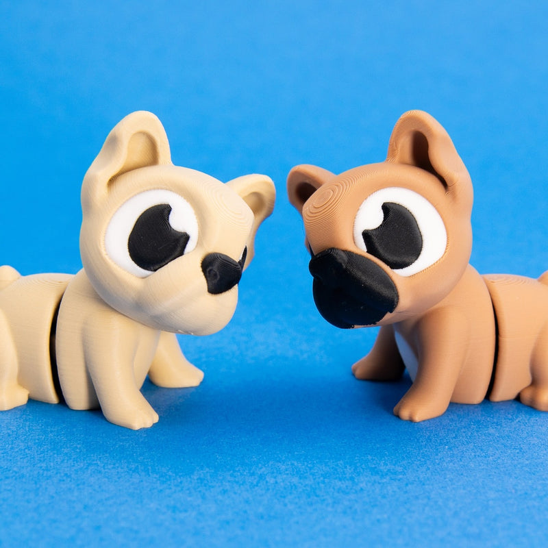 Pierre & Brie the French Bulldogs