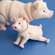 Pippa the Pig