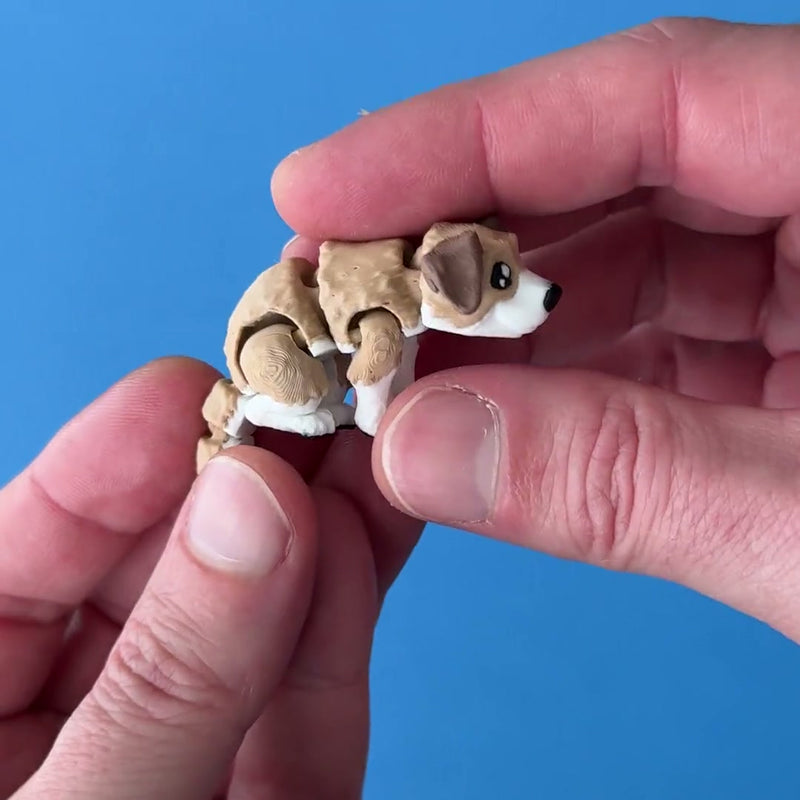 Wags the Brown Dog 3D printed fidget wiggling in hand