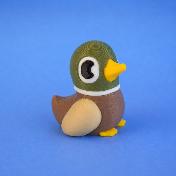 Quacky Jack Only