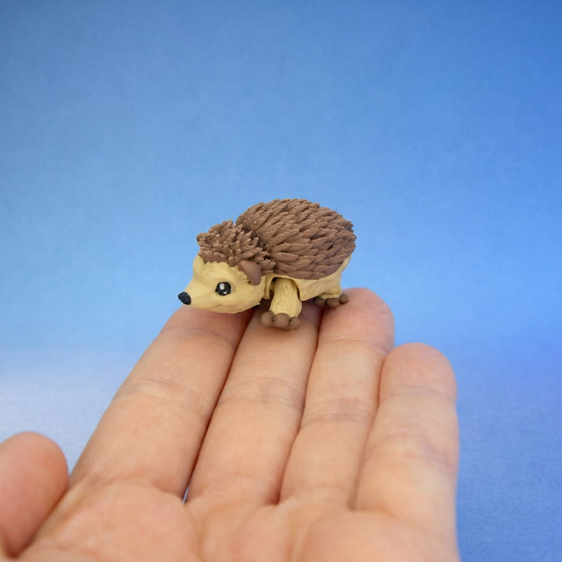 Quillbert the Hedgehog