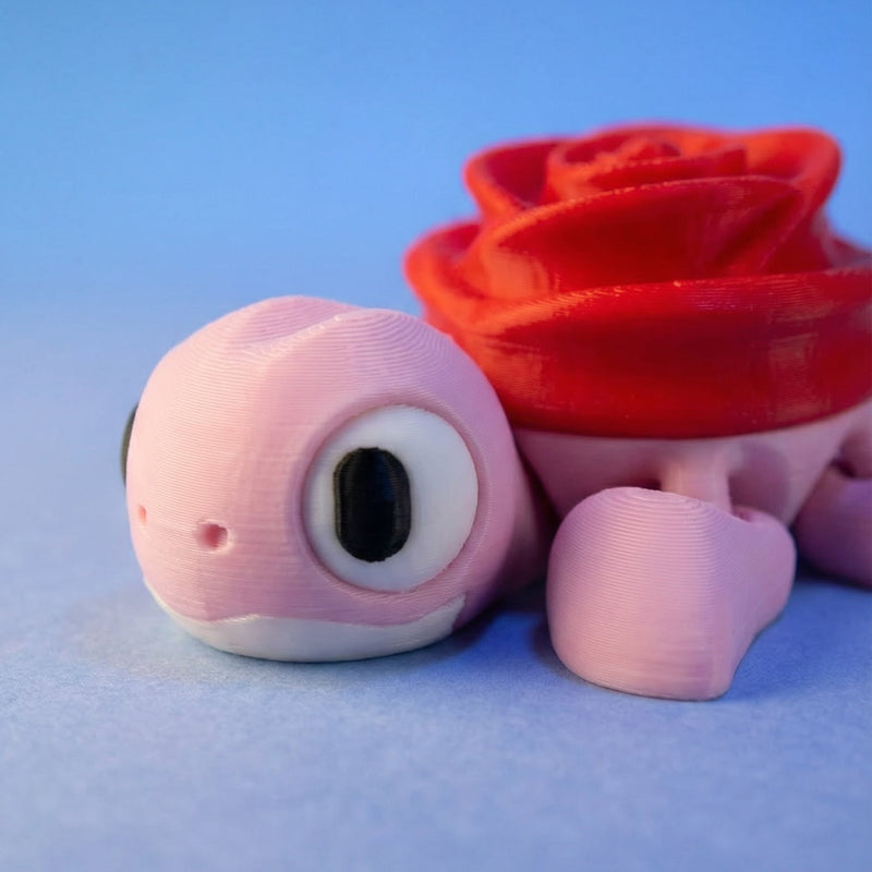 Rose the Turtle