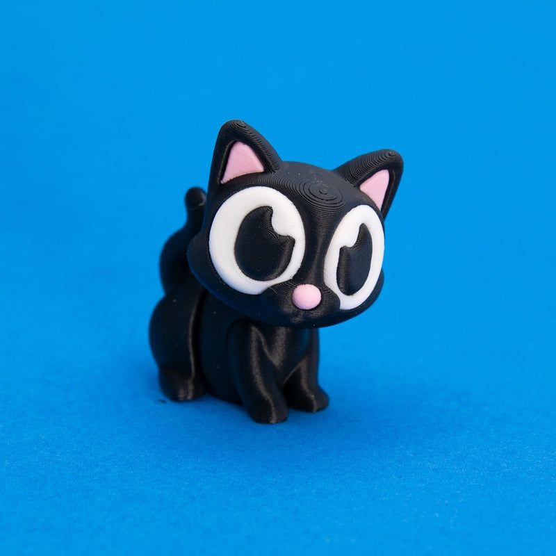 Salem the Black Cat