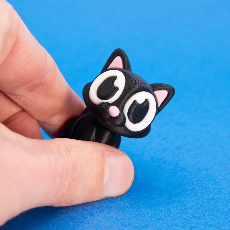Salem the Black Cat