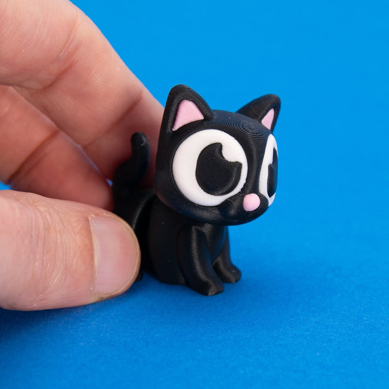 Salem the Black Cat