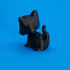 Salem the Black Cat