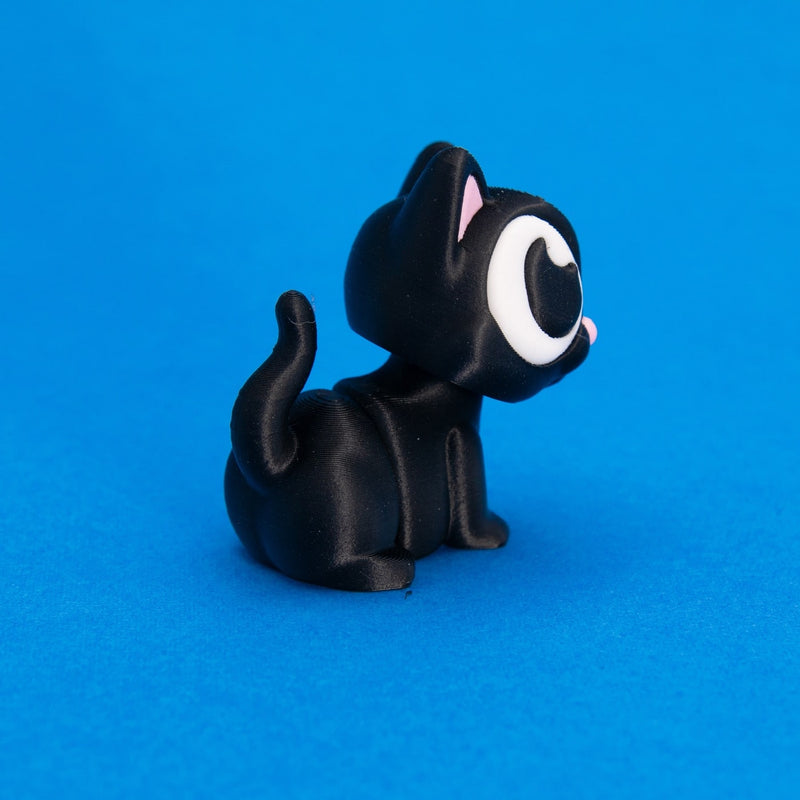 Salem the Black Cat
