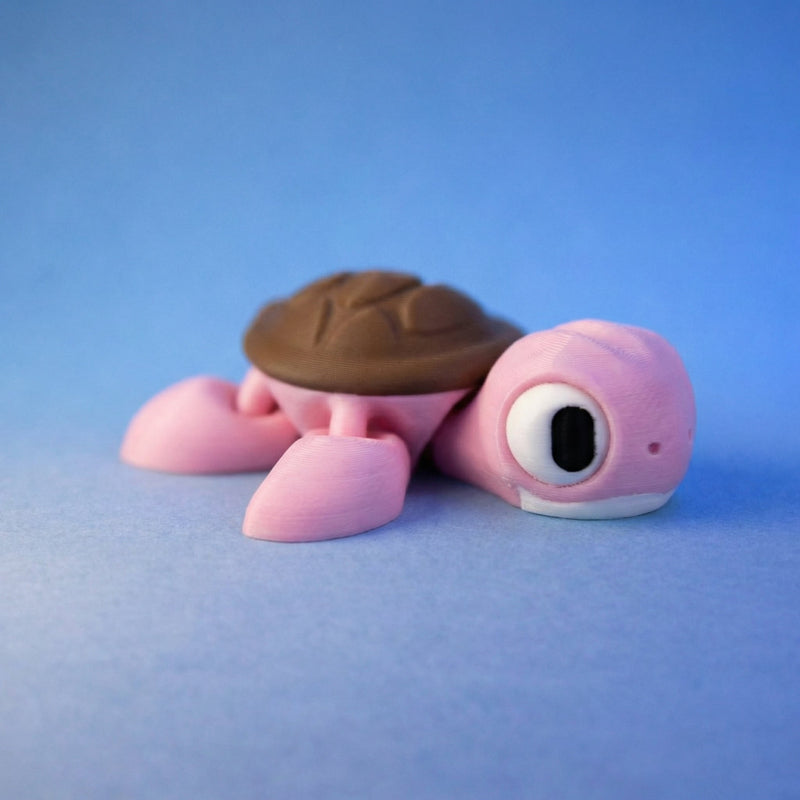 Shelly the Sea Turtle