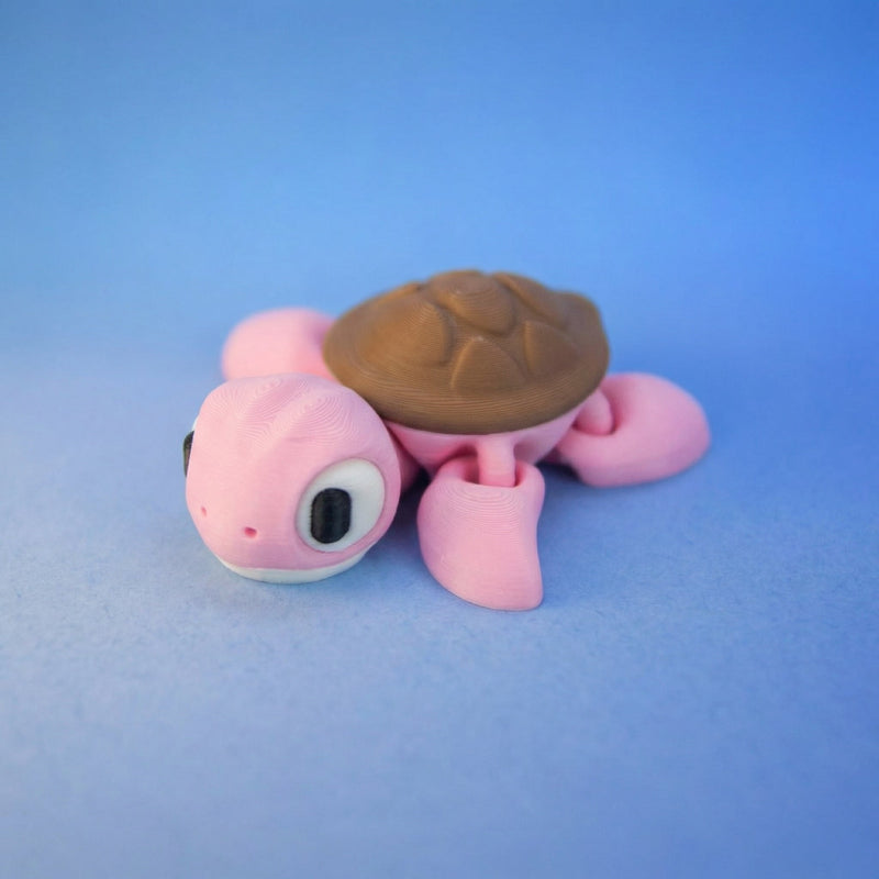 Shelly the Sea Turtle