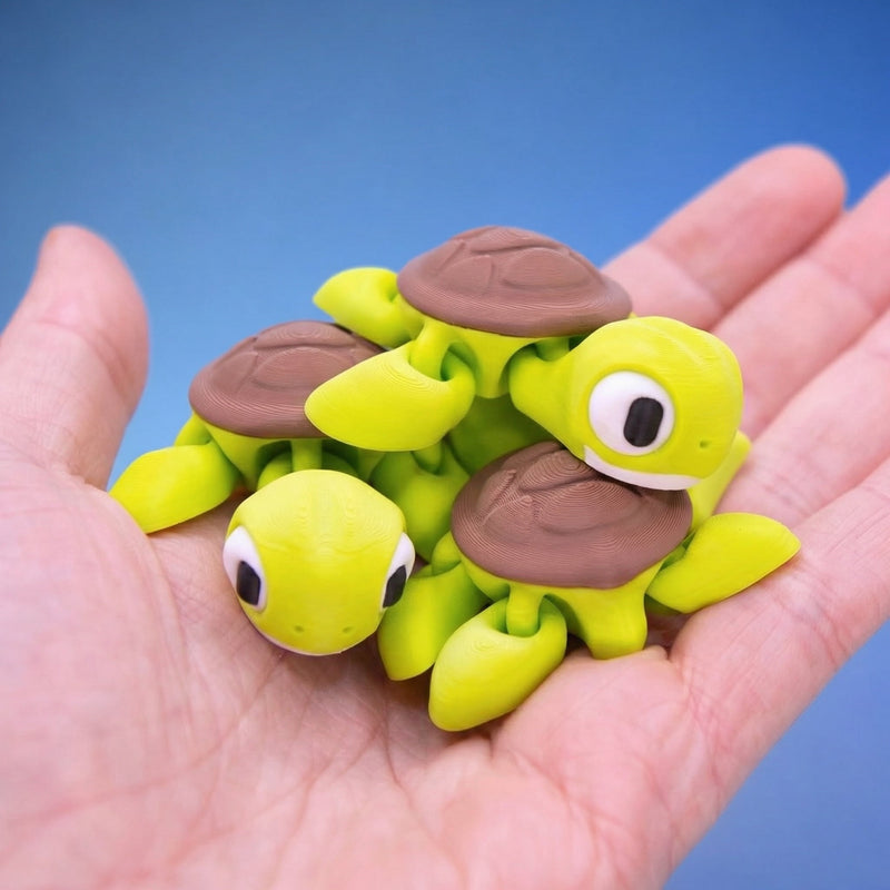 Shelly the Sea Turtle