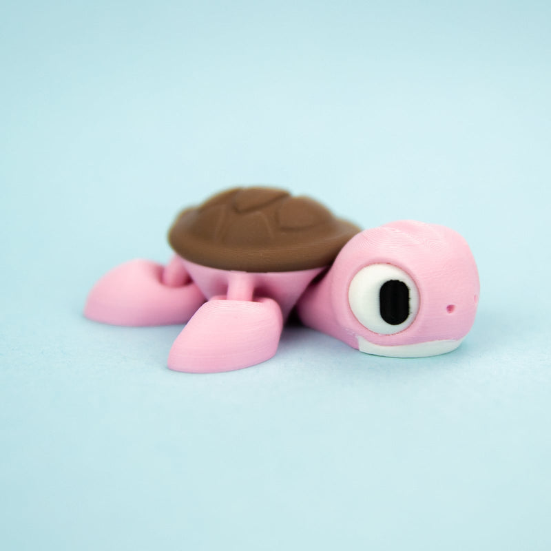 Shelly the Sea Turtle