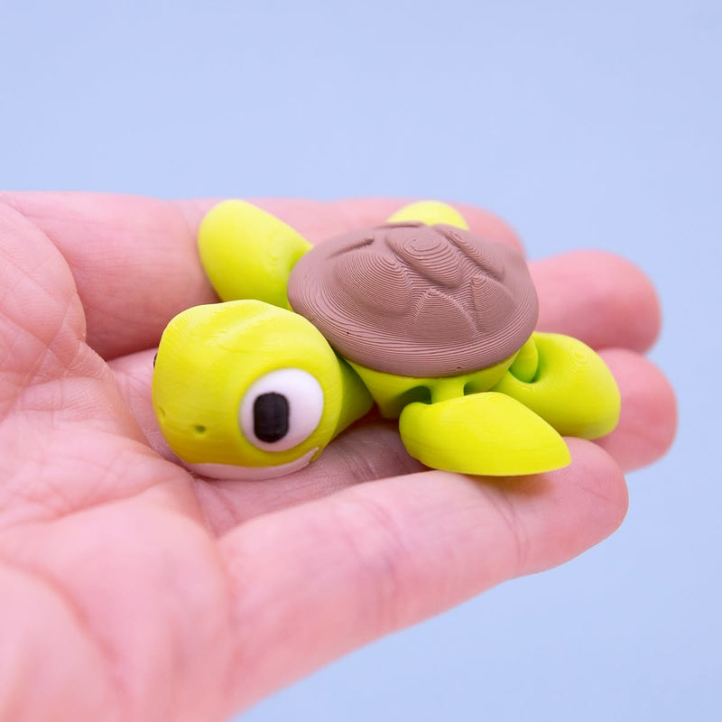 Shelly the Sea Turtle