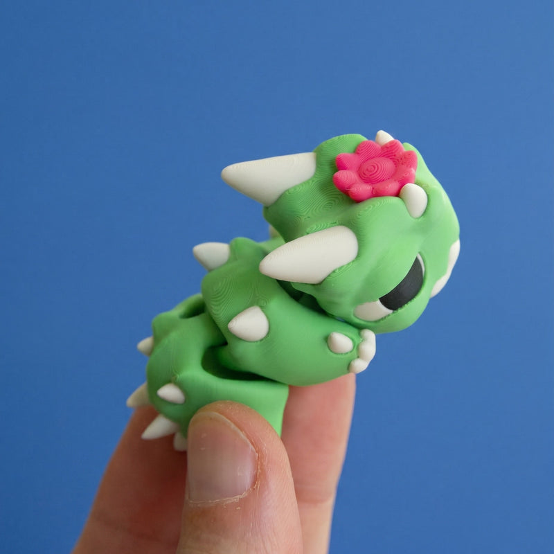 Snag the Cactus Babychonk