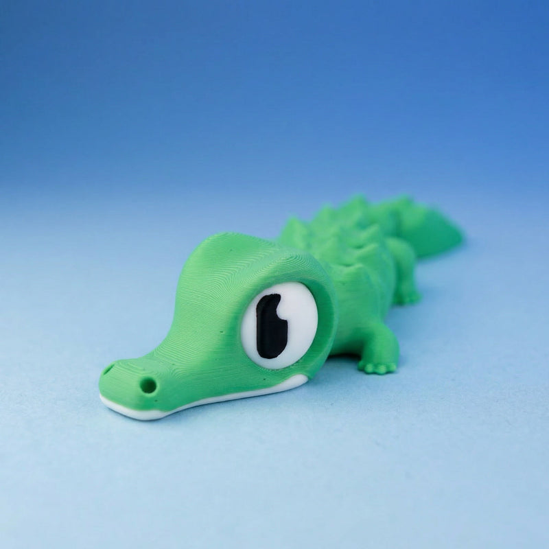 Snappo the Croc Hatchling