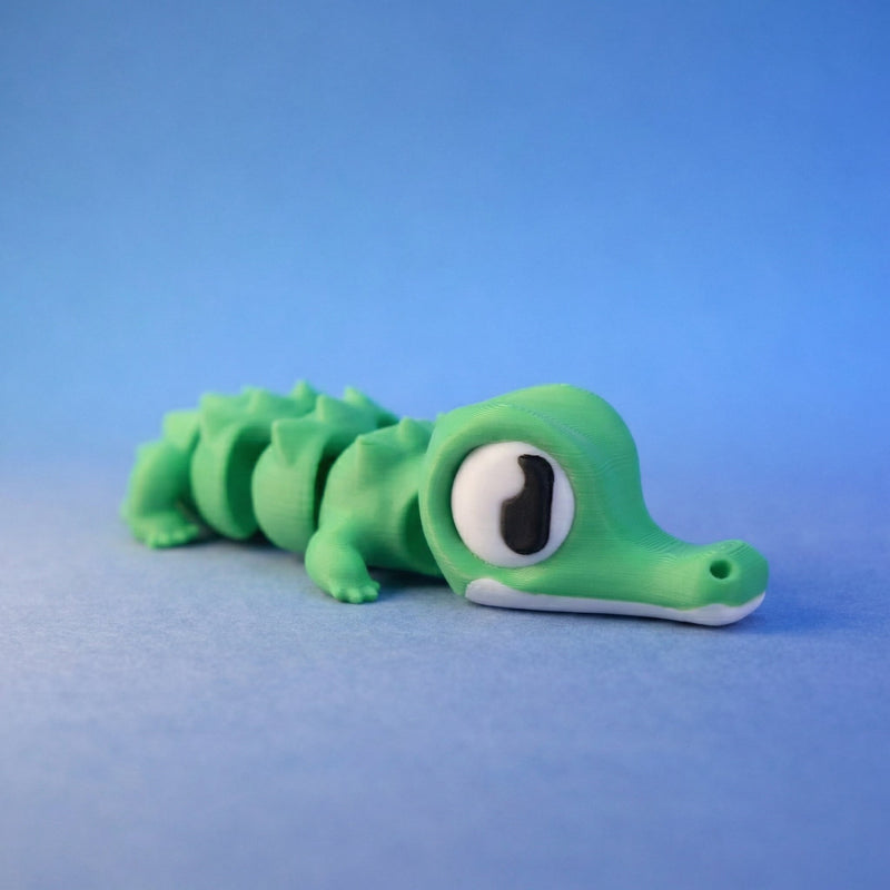Snappo the Croc Hatchling