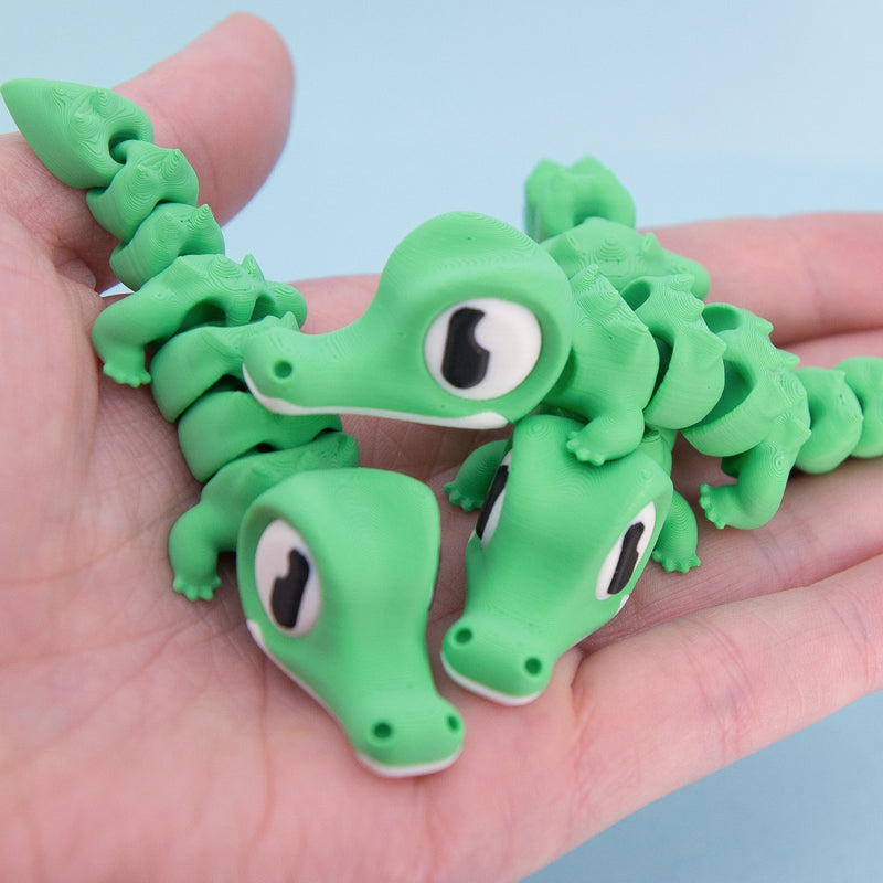 Snappo the Croc Hatchling