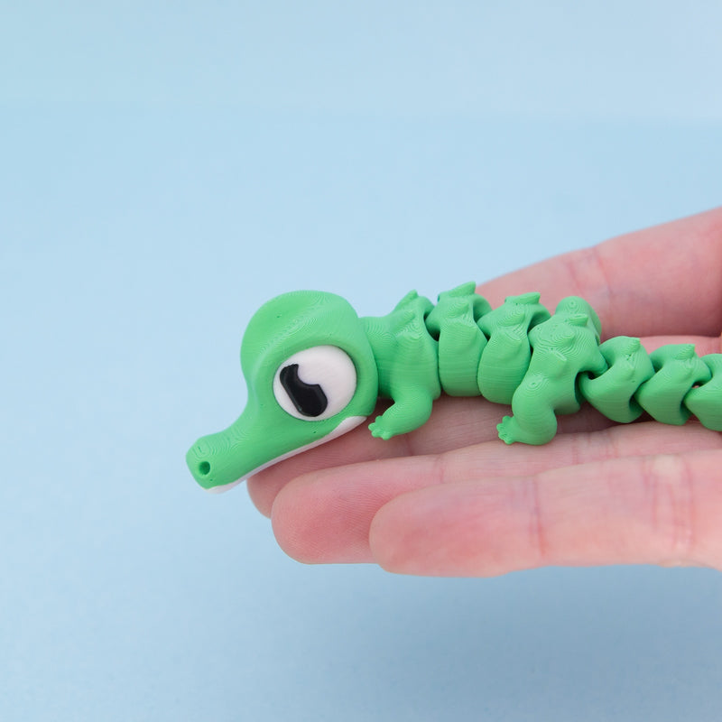 Snappo the Croc Hatchling